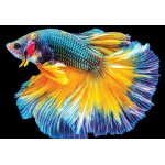 Puzzle nature color�e - poisson interdruk