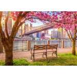 Puzzle new york, tats - unis roovi