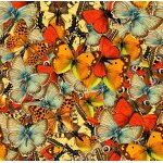 Puzzle nu�e de papillons grafika