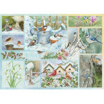 Puzzle oiseaux de jardin en hiver cobble hill Puzzle oiseaux de jardin en hiver cobble hill