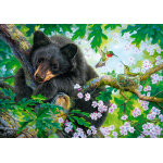 Puzzle l'ours et les colibris castorland