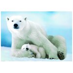 Puzzle ours polaire et son ourson eurographics Puzzle ours polaire et son ourson eurographics
