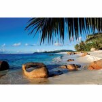 Puzzle derrire les palmiers ravensburger