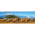 Puzzle panoramique - troupeau d'�l�phants nathan