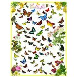 Puzzle papillons eurographics
