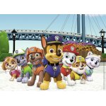 Puzzle paw patrol nathan
