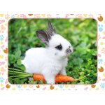 Puzzle petit lapin et sa carotte nathan Puzzle petit lapin et sa carotte nathan