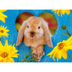 Puzzle petit lapin nain b�lier nathan