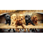 Puzzle pi�ces xxl - all hands on deck sunsout