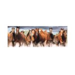 Pi�ces xxl - puzzle panoramique - chevaux dans l'eau dino