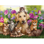 Puzzle pièces xxl - kitty sitting sunsout Puzzle pièces xxl - kitty sitting sunsout