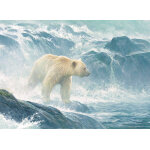 Puzzle pi�ces xxl - salmon watch - spirit bear cobble hill