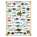 Puzzle les poissons eurographics Puzzle les poissons eurographics