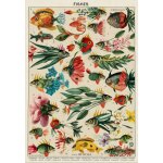 Puzzle poissons grafika