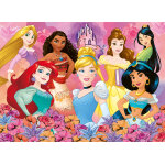 Puzzle les princesses disney nathan
