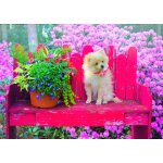 Puzzle puppy in the colorful garden bluebird puzzle