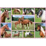 Puzzle rves de cheval schmidt spiele