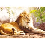Puzzle le roi de la savane nathan