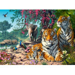 Puzzle le sanctuaire des tigres castorland