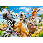 Puzzle selfie d'afrique castorland Puzzle selfie d'afrique castorland