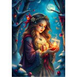 Puzzle le souffle d'hiver alipson puzzle