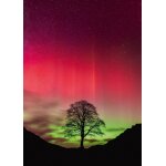 Puzzle power of nature - sycamore gap heye