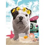 Puzzle to california nathan