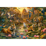 Puzzle le paradis des tigres castorland