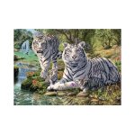 Puzzle tigres blancs dino