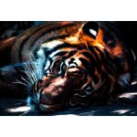 Puzzle tigre grafika kids