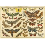 Puzzle vintage nature - papillons interdruk