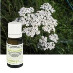 Achille millefeuille - huile essentielle d'achillea millefolium 5 ml - pranarm