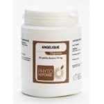 Angelique 200 gelules phytoreponse
