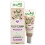 Baume levres - grande consoude bio - stick 10ml herbalgem Baume levres - grande consoude bio - stick 10ml herbalgem