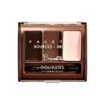 Bjs brow palette 002