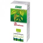 Bouleau bio - jus de plante frache 200 ml salus
