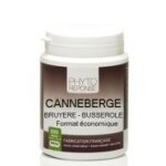 Canneberge - bruyère - busserole Canneberge - bruyère - busserole