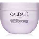 Caudalie vinotherapist beurre corporel hydratation intense pour peaux sches a trs sches 250 ml