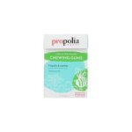 Chewing - gums propolis a la menthe - propolia - 1 unit