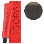 Coloration igora royal 7 - 13 blond moyen cendr� mat schwarzkopf 60ml