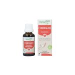 Complexe gemmothrapie cordiagem circulation - herbalgem - 1 unit