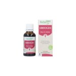 Complexe gemmothérapie libidogem libido - herbalgem - 1 unité Complexe gemmothérapie libidogem libido - herbalgem - 1 unité