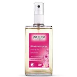 Dodorant a la rose - 100 ml - weleda - hygine