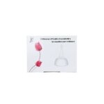 Diffuseur nbulisateur - saint - hilaire - 1 unit