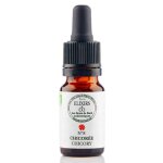 Elixir chicor�e - chicory - 10ml elixirs & co