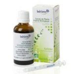 Epilobe - extrait de plante fraiche bio 50ml ladrome