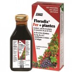 Floradix fer + plantes - 250 ml