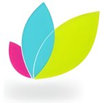 Forcapil hair activ 30 comprim�s