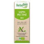 Gemmobase sapin pectine
