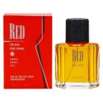 Giorgio beverly hills red 100 ml hommes